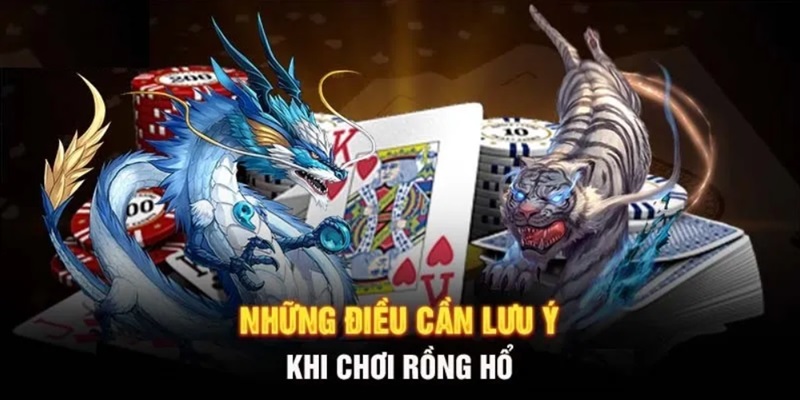 Lưu ý khi tham gia cá cược trò chơi Rồng Hổ